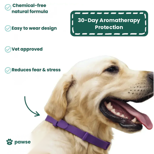 The Pawse™ Collar