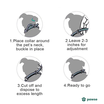 The Pawse™ Collar