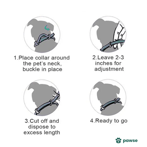 The Pawse™ Collar