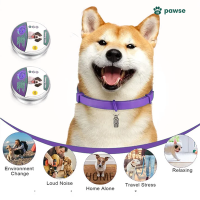 The Pawse™ Collar