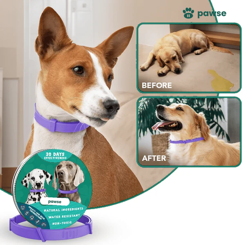 The Pawse™ Collar