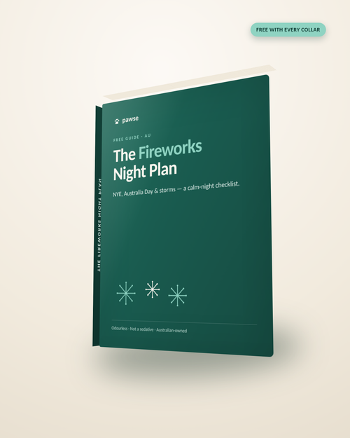The Fireworks Night Plan