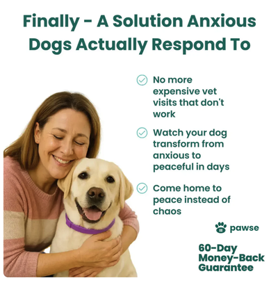 The Pawse™ Collar
